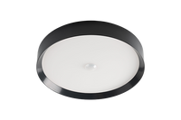 LED Ceiling Light RGBW Tree Anthrazit